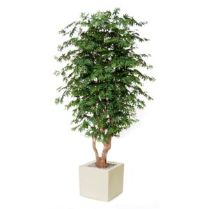ILA Umělý strom Maple Malabar výška: 150cm zelená javor