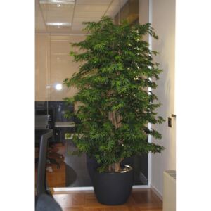 ILA Umělý strom Maple Boschetto výška: 180cm zelená