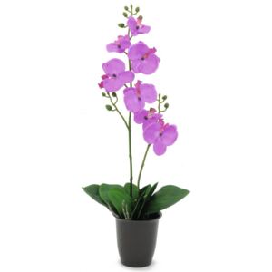 EP Umělá rostlina Orchidej (57cm) fialová