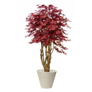 ILA Umělý strom Maple Malabar Lux (250cm) Barva listů: burgundy