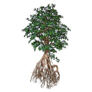 ILA Umělý strom Buxifolia Root Giant (250cm)