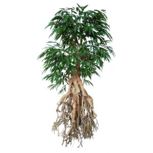ILA Umělý strom Longifolia Root Giant (250cm)