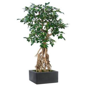 ILA Umělý strom Fikus Retusa Root mini (130cm)