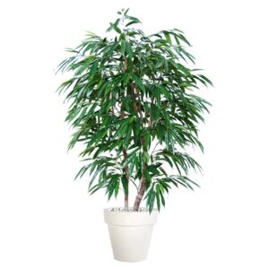 ILA Umělý strom Longifolia Natural Style výška: 150cm