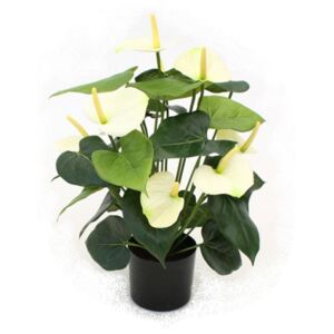 MF Umělá rostlina Anthurie (50cm) krémová