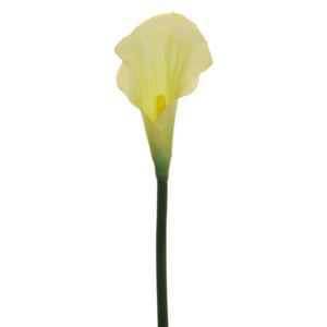 Evergreens Umělá květina Calla (54cm) krémová