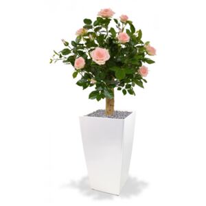 MF Umělá rostlina Růže na kmeni (80cm) - růžová