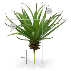 MF Umělá rostlina Marginata (18cm)