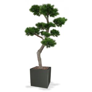 MF Umělý strom Pinie Bonsai XL (200cm)