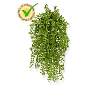 MF Umělá rostlina Dishidia převis UV (40cm)