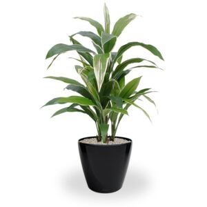 MF Umělá rostlina Dracaena (80cm)