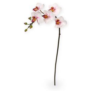 MF Umělá květina Orchidej větvička Phalaenopsis (50cm) - růžová