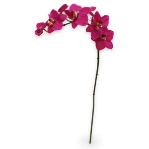 MF Umělá květina Orchidej větvička Phalaenopsis (80cm) - vínová