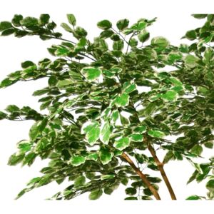 ILA Umělý strom Beech Florida (300cm) Barva listů: vícebarevná (Vario)
