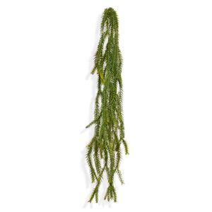 MF Umělá rostlina Asparagus Foxtail (60cm)
