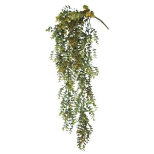 ILA Umělá rostlina Boxwood Hanging (70cm)