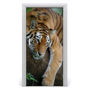 Samolepící fototapeta na dveře tygr na stromě