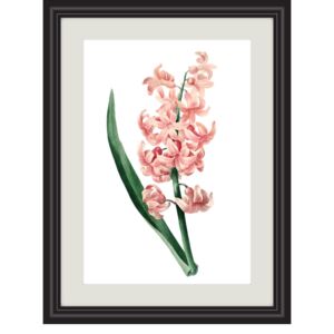 Obrázek růžový hyacint A5 (148 x 210 mm): A5