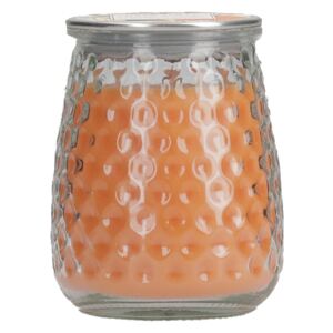 Greenleaf Vonná svíčka Orange & Honey velká, 369 g SignatureCandle-orange-and-honey