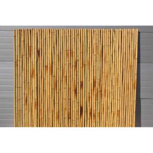 Bambusový plot 2x1,8 m, 26-35 mm natural