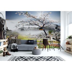 Fototapeta - Cherry Blossom Mountain Path Vliesová tapeta - 250x104 cm