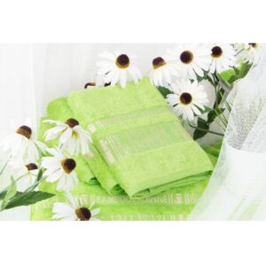 Night in Colours Bambusový ručník ARYA - světle zelený 50x90cm