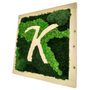 Mechový obraz s dřevěným K | kombinace mechů