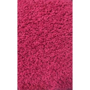 Moderní kusový koberec Color Shaggy | růžový Typ: 50x80 cm