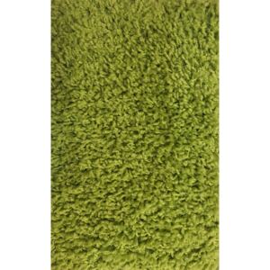 Moderní kusový koberec Color Shaggy | zelený Typ: 60x110 cm