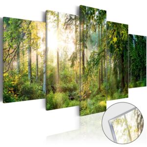 Obraz zelená svatyně na akrylátovém skle - Green Sanctuary
