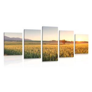 5-dílný obraz západ slunce nad pšeničným polem