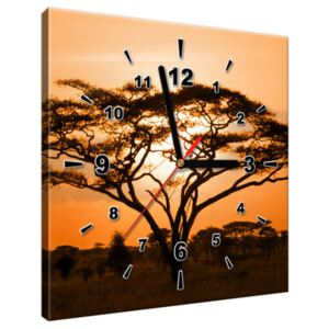 Tištěný obraz s hodinami Nádherná africká země ZP1462A_1AI