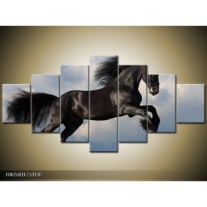 Obraz černého koně (F002681F210100)