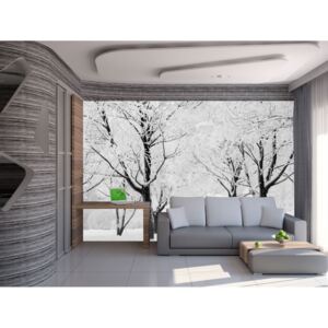 Murando DeLuxe Fototapeta - sníh na stromech Rozměry (š x v) a Typ: 150x105 cm - vliesové