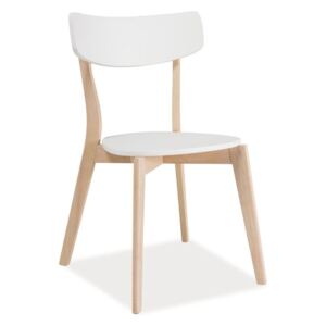 Jídelní židle TIBI MDF bílá barva, dub kaučukovník bělený