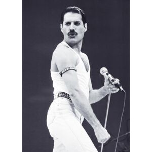 Plakát, Obraz - Freddie Mercury - Live Aid, (59,4 x 84,1 cm)