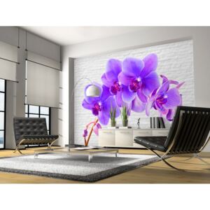 Murando DeLuxe Fototapeta lila orchidej Rozměry (š x v) a Typ: 150x105 cm - vliesové