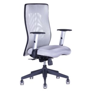 Kancelářská židle na kolečkách Office Pro CALYPSO GRAND BP – s područkami Celosvětle šedá 12A11