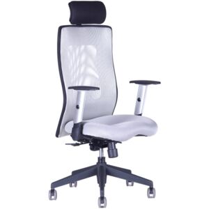 Kancelářská židle na kolečkách Office Pro CALYPSO GRAND SP1 – s područkami Celosvětle šedá 12A11