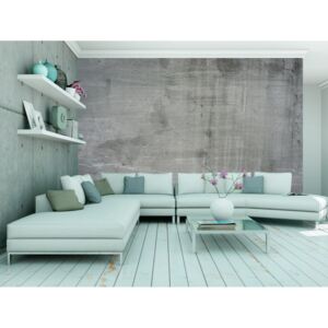 Murando DeLuxe Tapeta betonová stěrka Rozměry (š x v) a Typ: 150x105 cm - vliesové