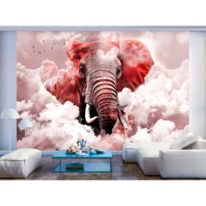 Murando DeLuxe Tapeta slon v oblacích - růžový Rozměry (š x v) a Typ: 150x105 cm - vliesové