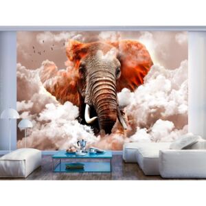 Murando DeLuxe Tapeta slon v oblacích - hnědý Rozměry (š x v) a Typ: 150x105 cm - vliesové