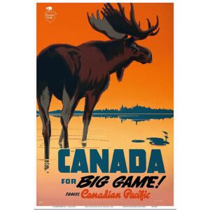 Canada for Big Game! - Canada Travel / Wildlife Poster