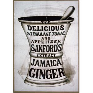 Sanford's Extract Jamaica Ginger Advertising Poster