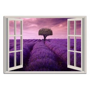 Okno do Provence C4019AO