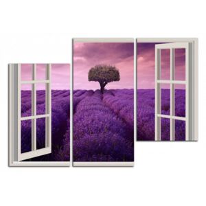 Okno do Provence C4019DO
