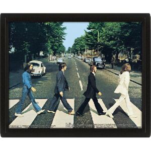 3D obrázek The Beatles: Abbey Road (26 x 20 cm)