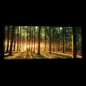 Postershop Obraz na plátně: Západ slunce v lese - 145x45 cm
