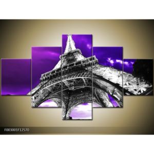 Obraz Eiffelovy věže v Paříži (F003001F12570)