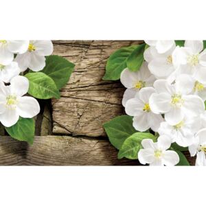 Postershop Fototapeta: Bílé orchideje (2) - 184x254 cm